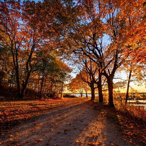 ابوالفضل رضایی عمریه زخمیه مسیر رفاقت عمریه پا میخوریم سر صداقت